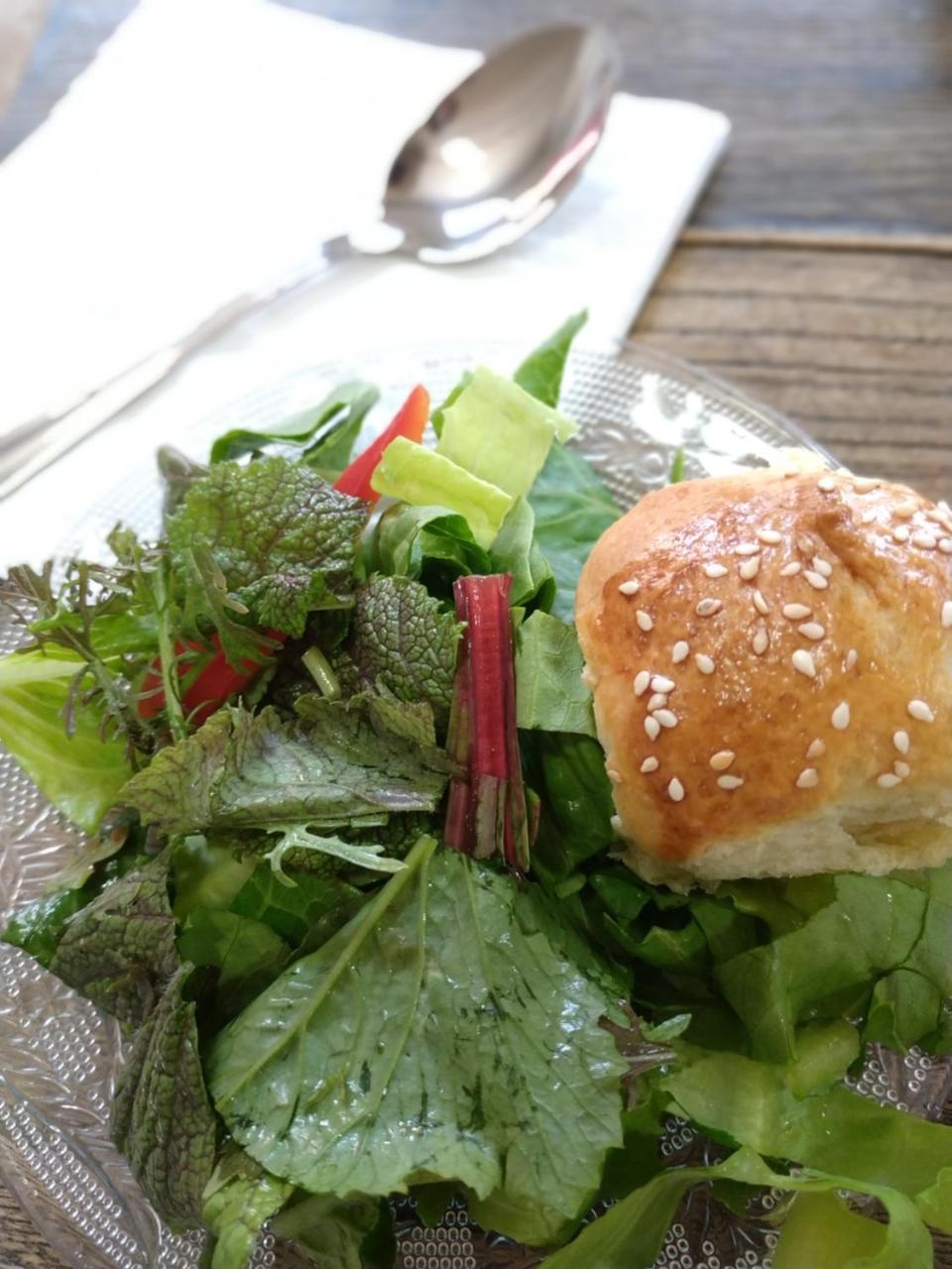 Amiad Joseph Well Country Inn エクステリア 写真