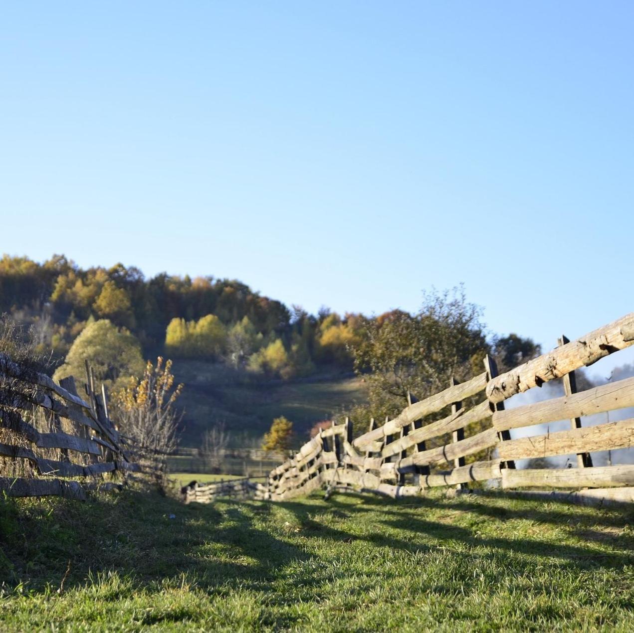 Amiad Joseph Well Country Inn エクステリア 写真